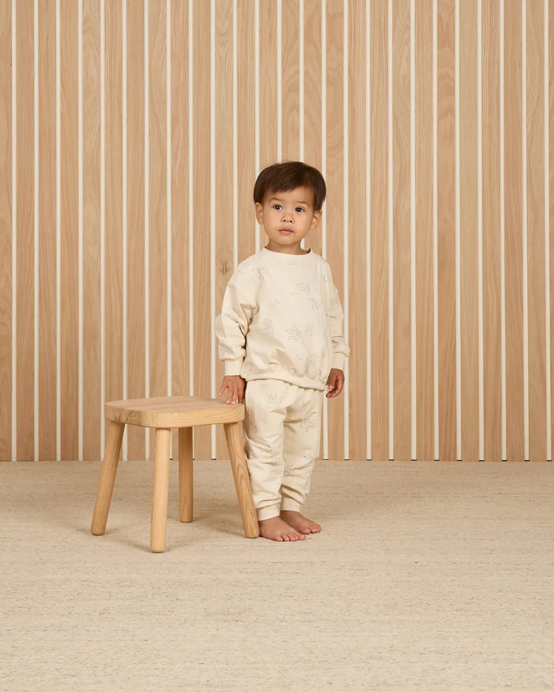 Relaxed Sweatshirt   Sweatpant Set| Dragons